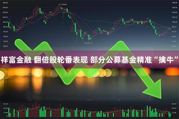 祥富金融 翻倍股轮番表现 部分公募基金精准“擒牛”