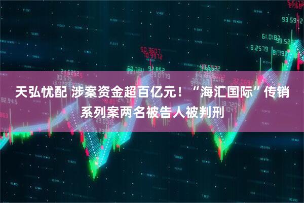 天弘忧配 涉案资金超百亿元！“海汇国际”传销系列案两名被告人被判刑