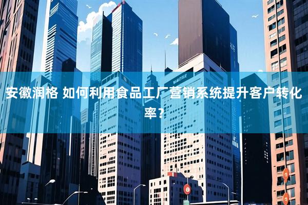 安徽润格 如何利用食品工厂营销系统提升客户转化率？
