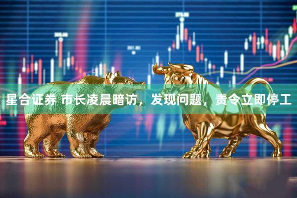 星合证券 市长凌晨暗访，发现问题，责令立即停工