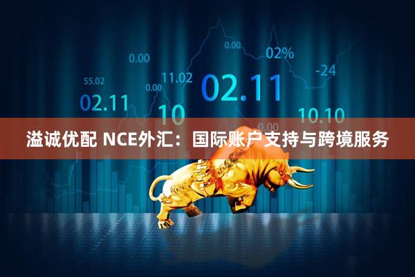 溢诚优配 NCE外汇：国际账户支持与跨境服务